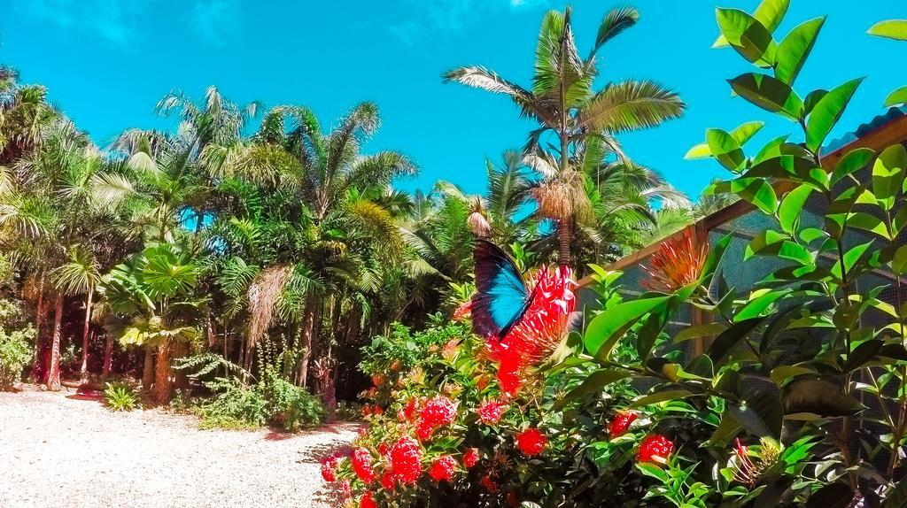 Boutique Bungalows Mission Beach Kültér fotó